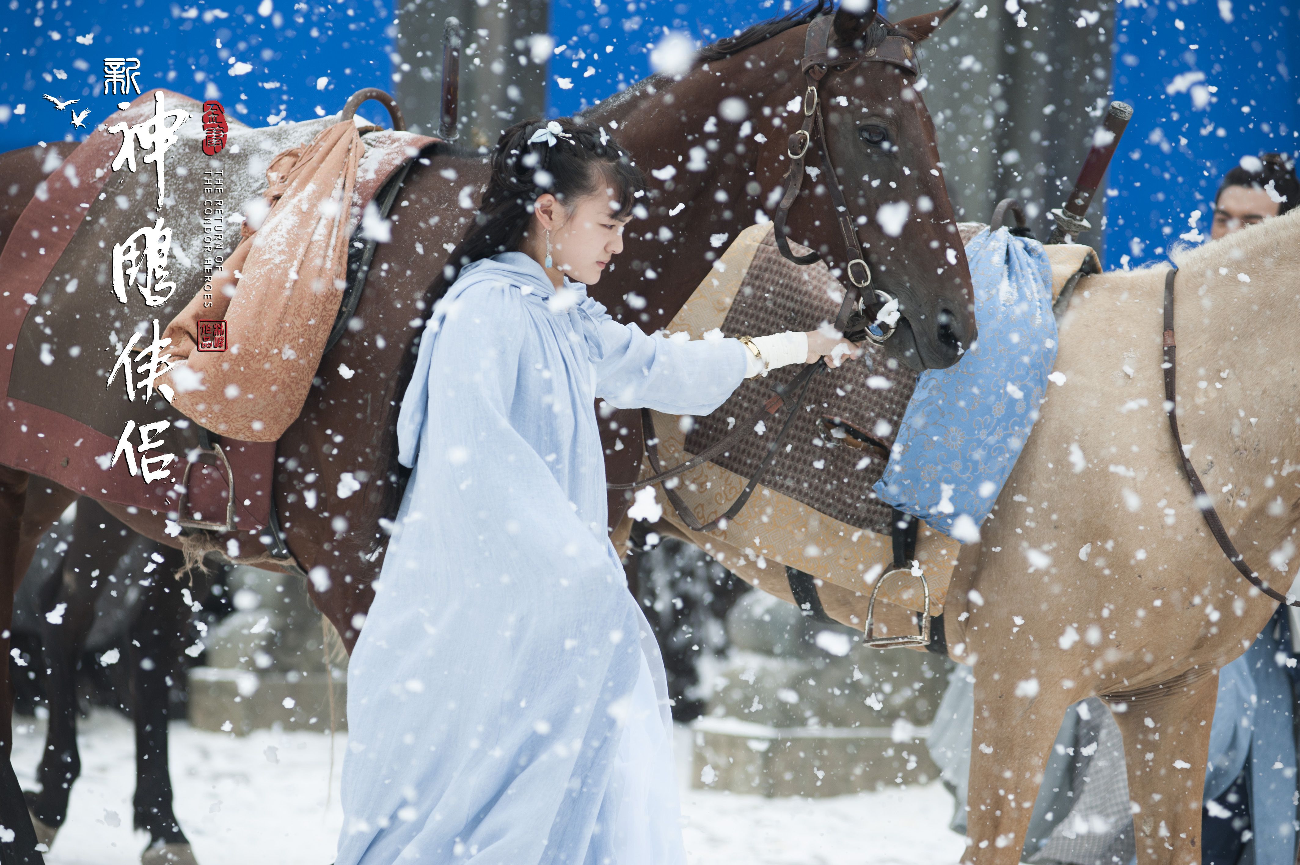 《新神雕侠侣》曝剧照,文淇版郭襄雪中牵马