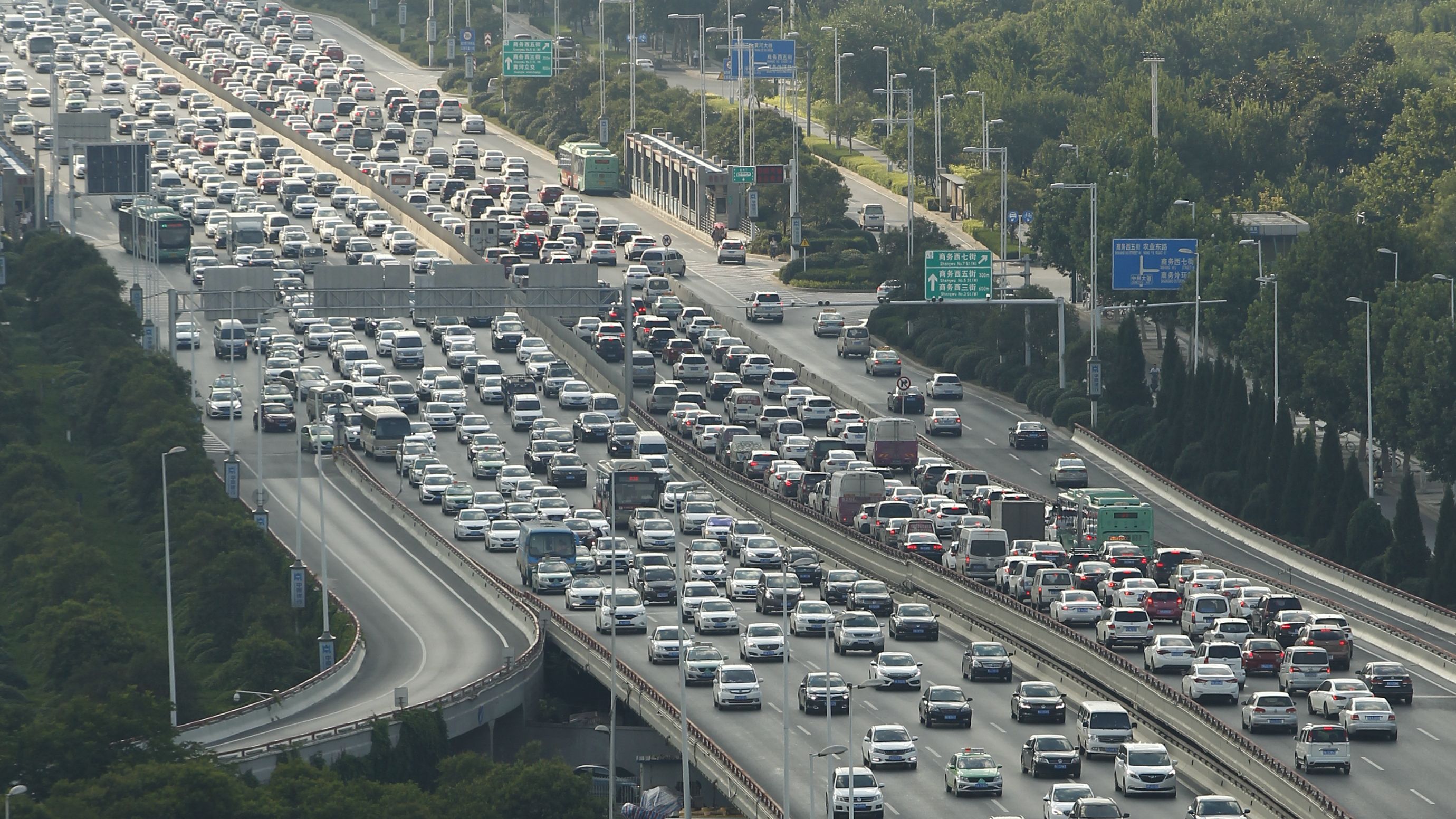 一个省会城市单双号限行的40天