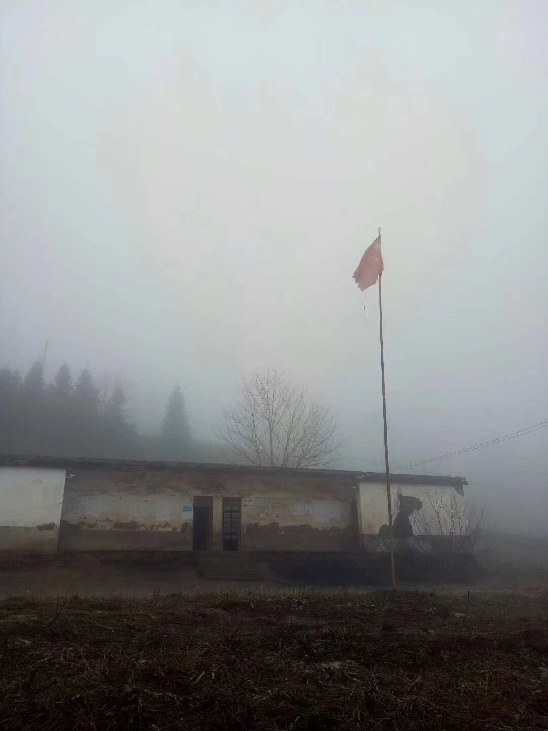 ͼΪ�޺���Сѧ ���ܷ��߹�ͼ