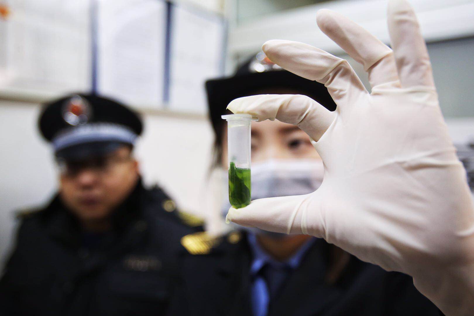 1月22日上午,执法人员连合第三方检测机构对东城区特吉特市场内的重点食品举办了抽检。 新京报记者 王贵彬 摄