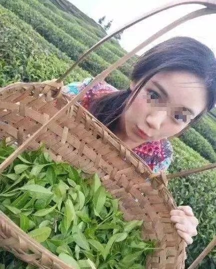 卖茶女式诈骗频出精准打击需产品经理思维