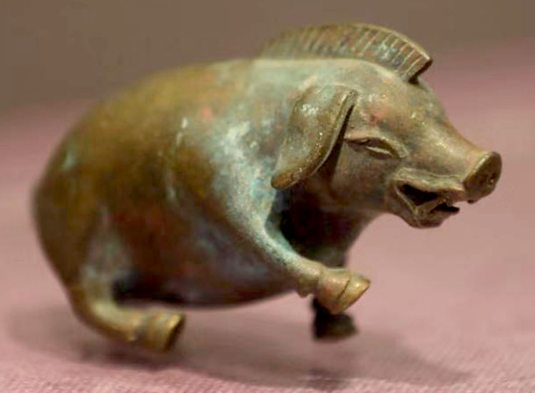 博物馆里的"生肖猪"