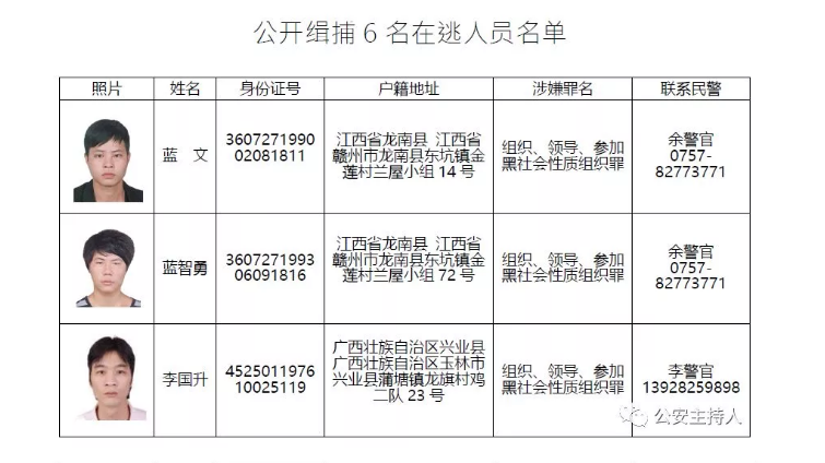 顺德神童何经强图片