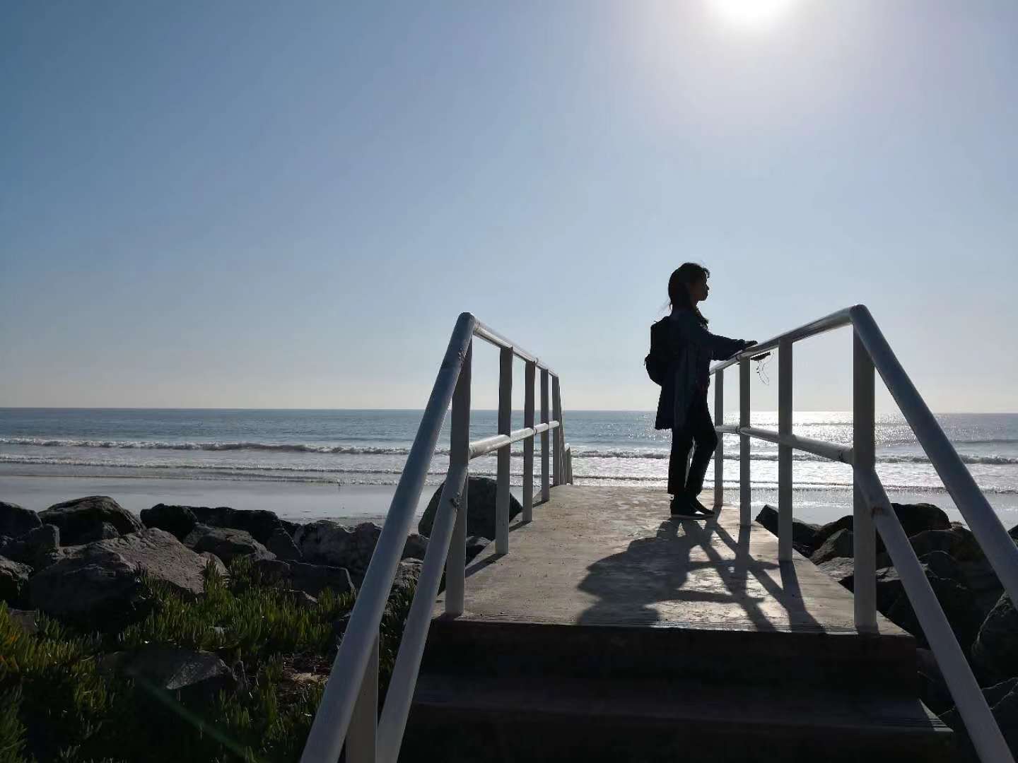 单身女性选精生子我到美国买常青藤精子生混血宝宝