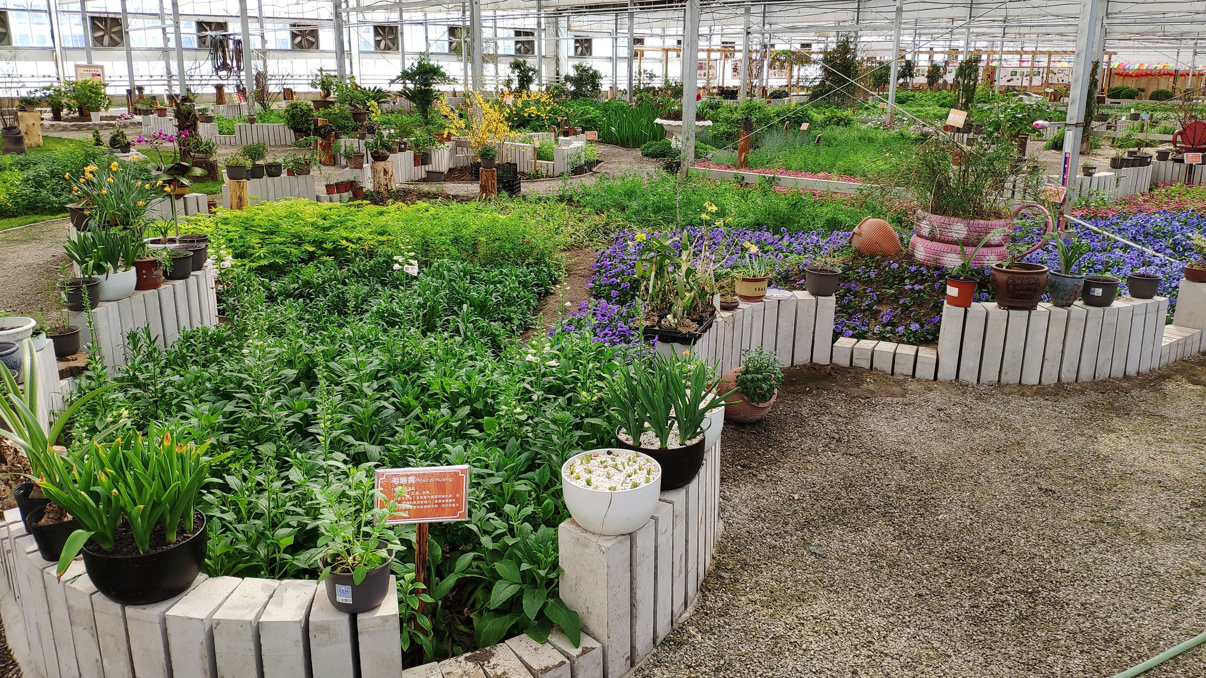 新京报 - 好新闻,无止境