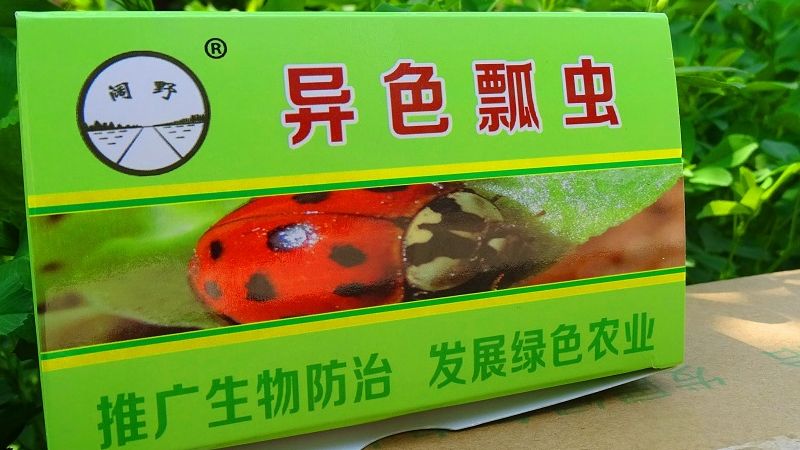 新京报 好新闻 无止境