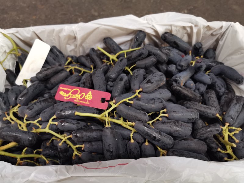 �²�����ɶ���¾������� ��Х�� ��