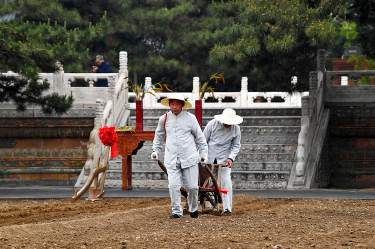 扶犁耕地 先农坛"一亩三分地"历史景观展示区开放