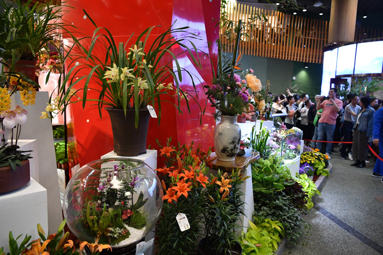 世园会迎游客高峰 排队打卡中国馆北京展区