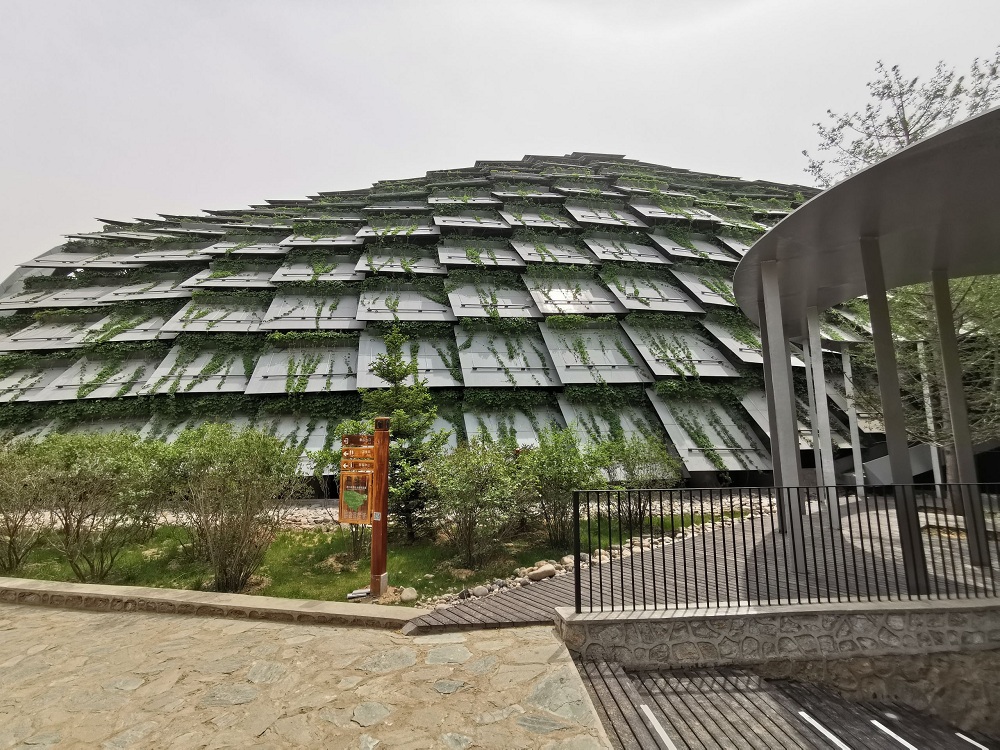 Գ�˶������֡��¾������� ��Ρ ��