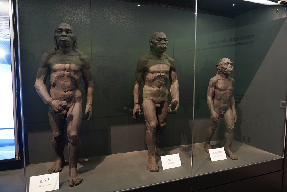 �ܿڵ���ַ�������չʾ��ֱ���ˡ����˺�Գ��ģ�͡��¾������� ��Ρ ��