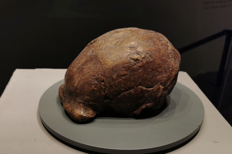 �������ˡ�ͷ�ǹ�ģ�͡��¾������� ��Ρ ��