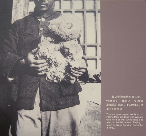 �ܿڵ���ַ�������չʾ�����б���ͷ�ǹǻ�ʯ����Ƭ���¾������� ��Ρ ��