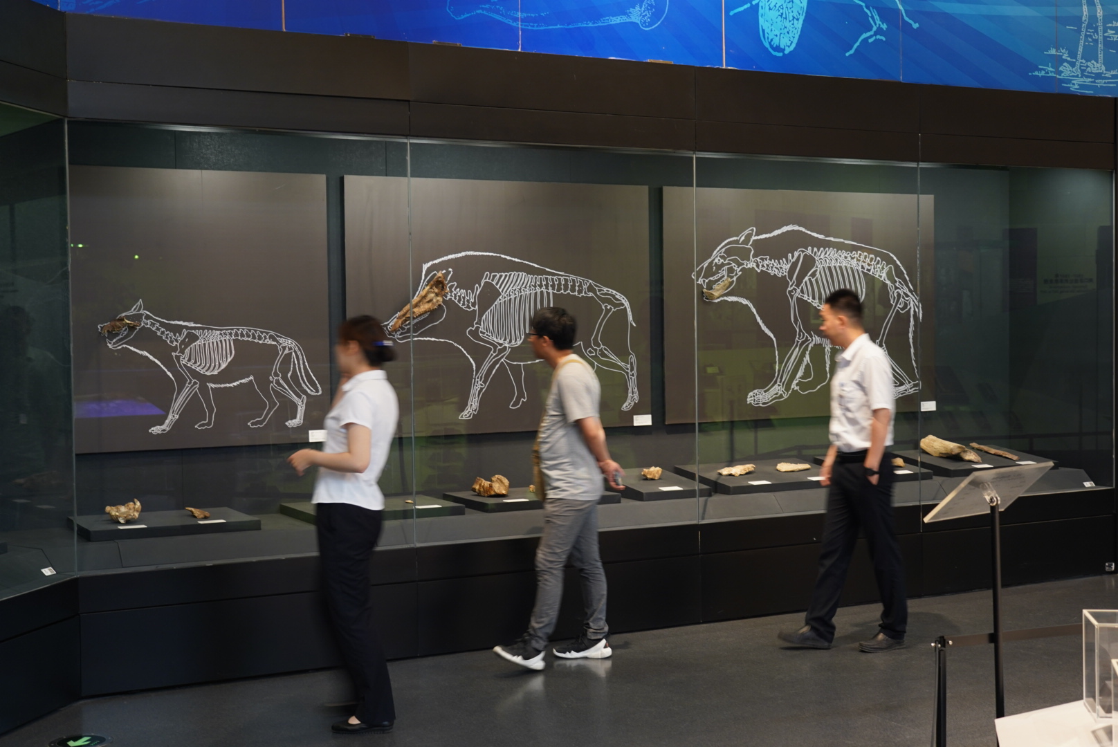 �ο����ܿڵ���ַ�������ιۡ��¾������� ��Ρ ��