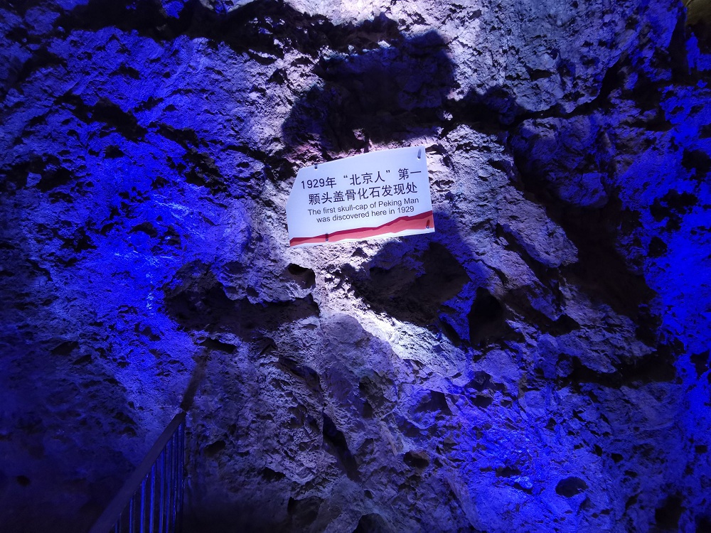 �������ˡ���һ��ͷ�ǹǻ�ʯ���ִ����¾������� ��Ρ ��