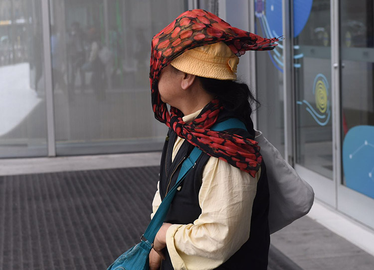 阵风吹得纱巾拂面.一位女士全副武装,帽子,墨镜,口罩,手套齐上阵.