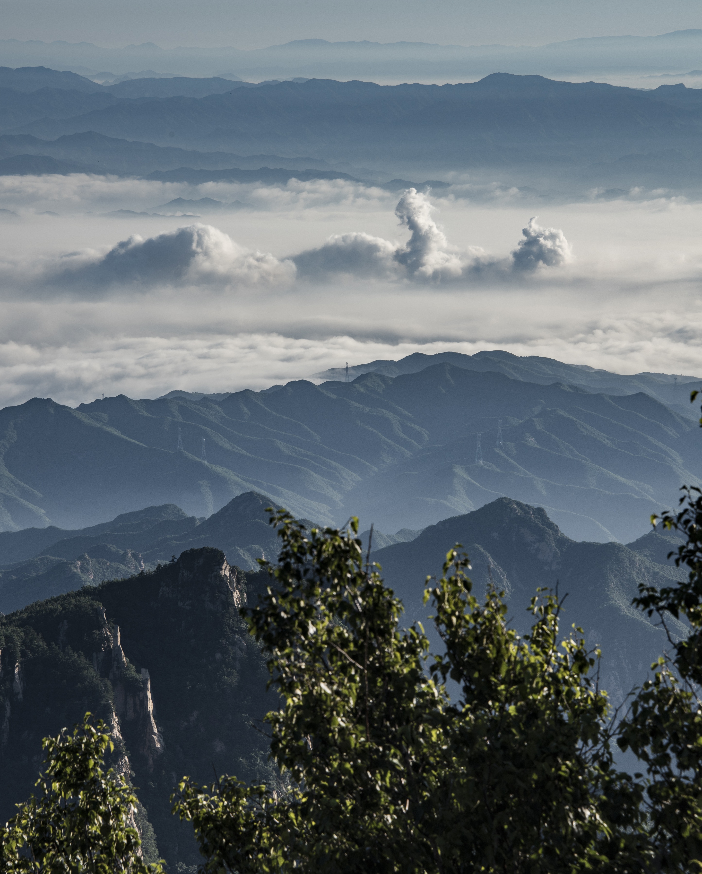 从北京驱车2小时来白草洼看华北最大的白桦林