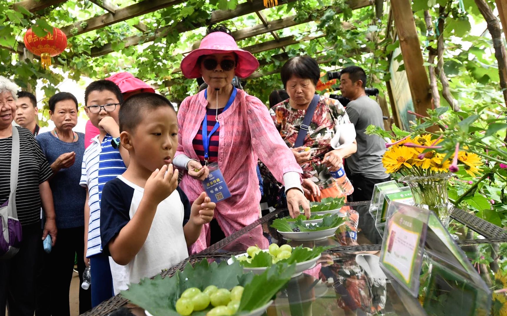 体采摘乐趣、品食新鲜、百亩菜园等你来-农趣谷