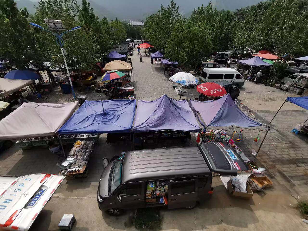 赶大集丨来陇驾庄大集 这里的蔬菜很多都是老味道