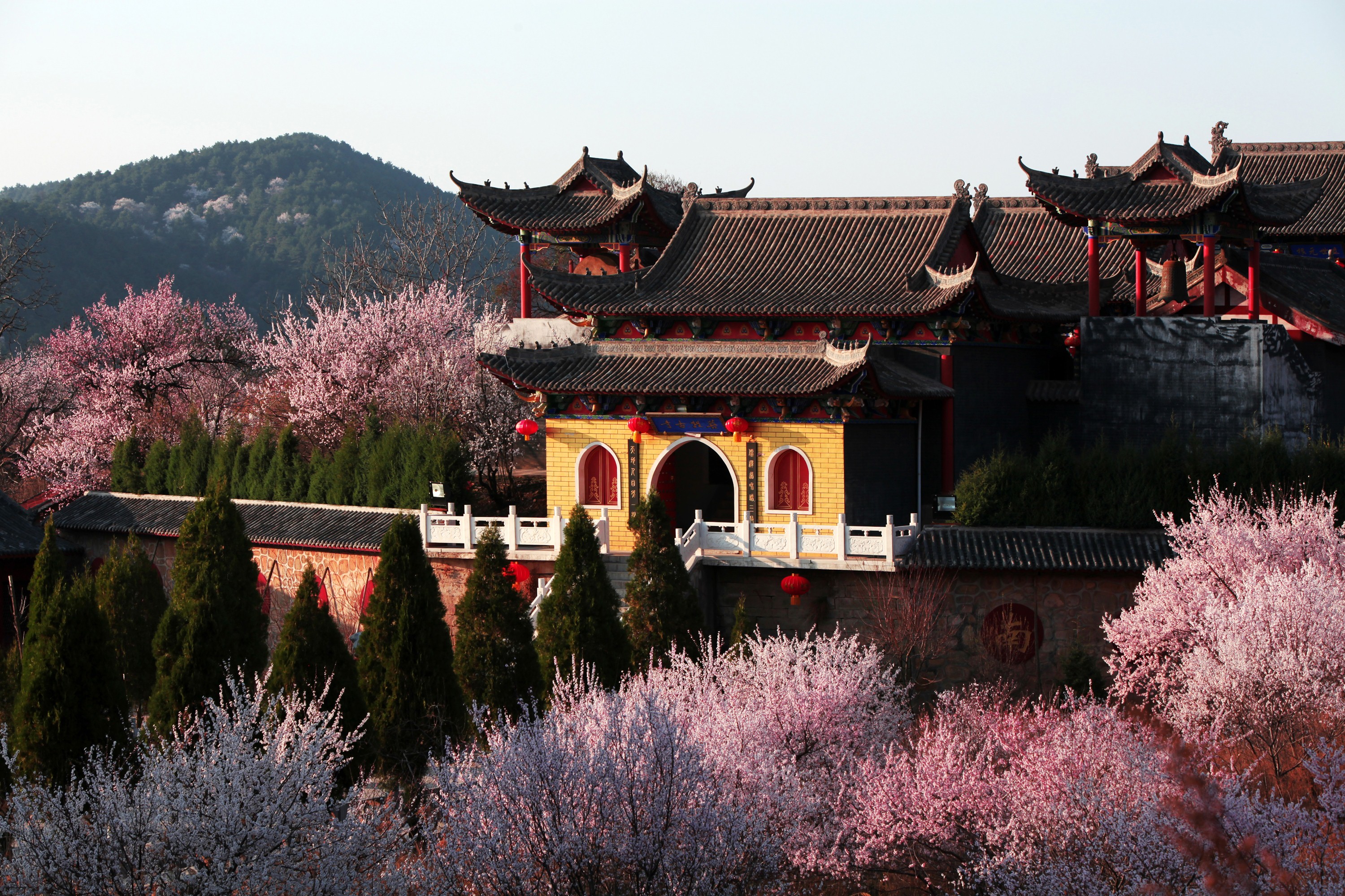 山西省长治市沁源县菩提寺.