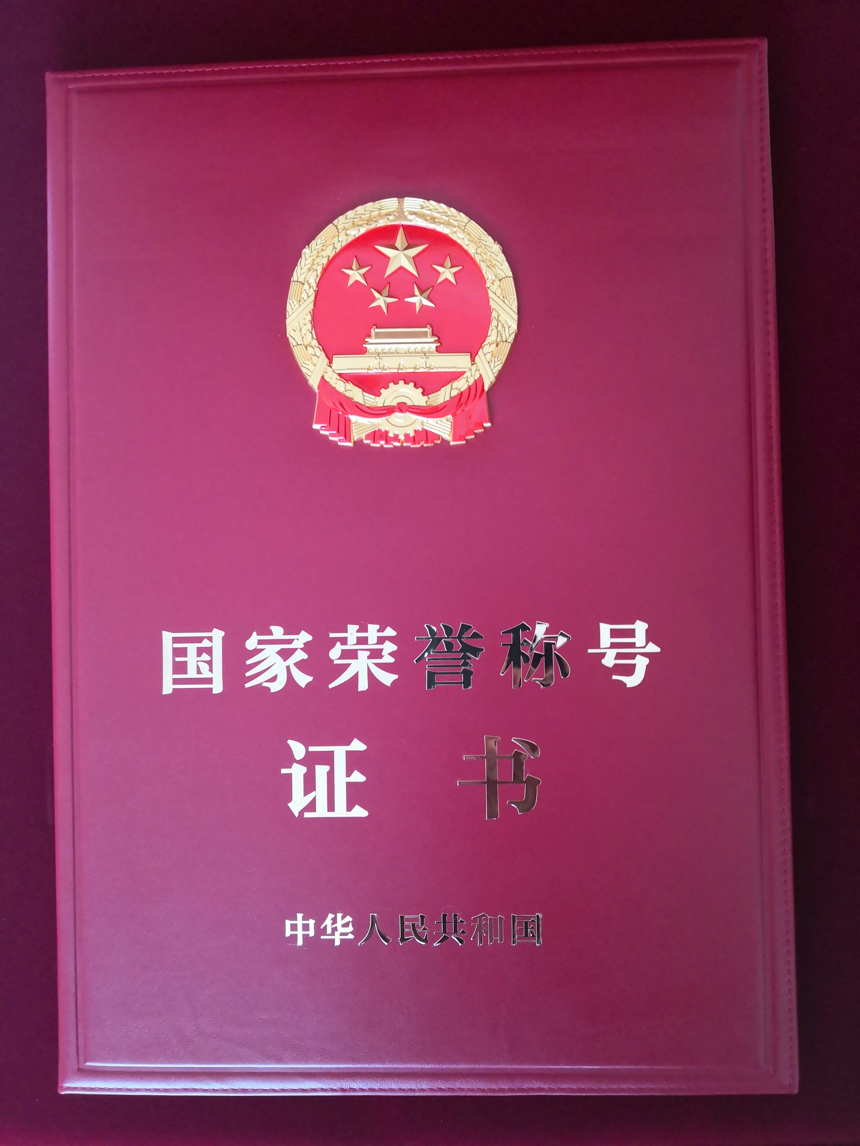 朱彦夫获得的国家荣誉称号证书