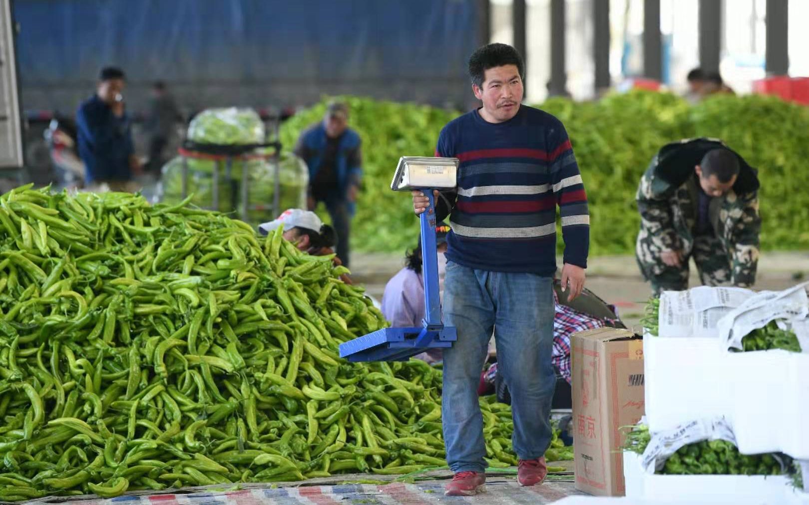 一场蔬菜批发市场里的辣椒种收博弈