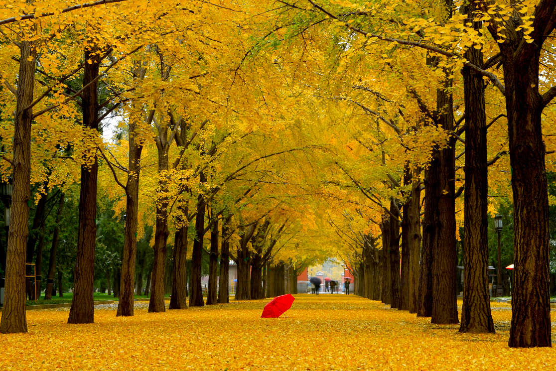 新京报 好新闻 无止境