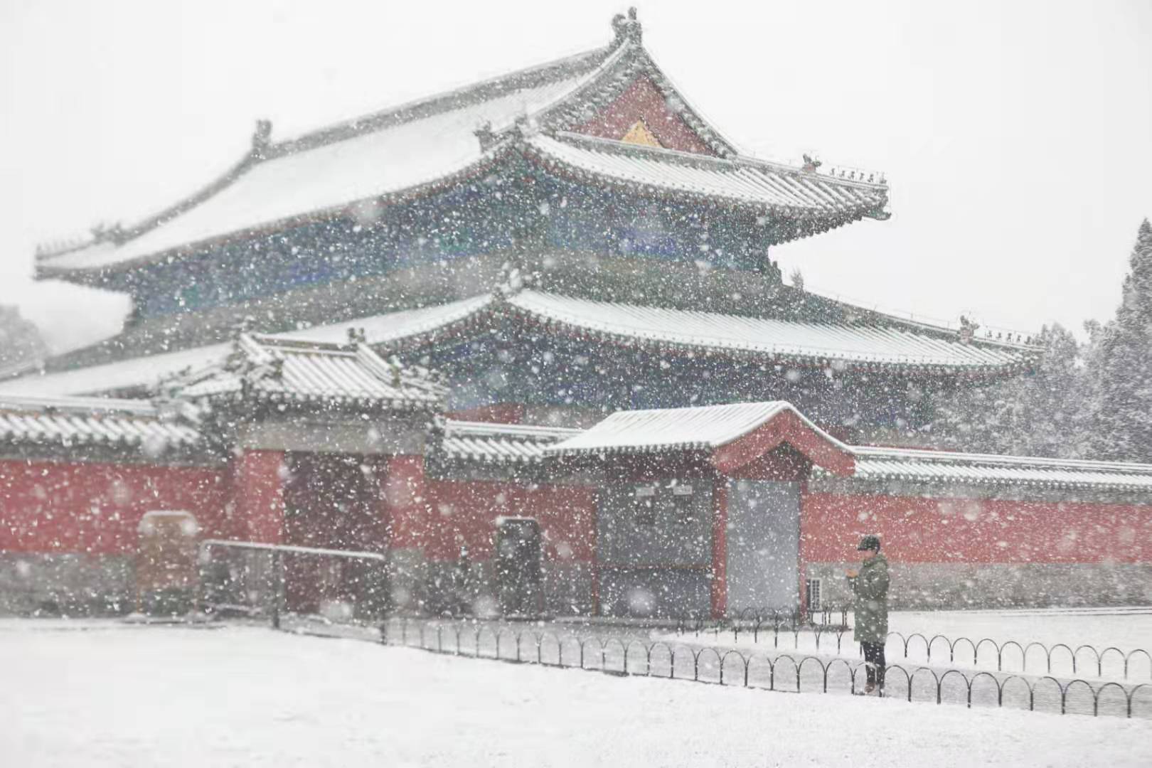 雪中漫步 沐雪观鱼 北京市属公园半日迎6万余游客赏雪
