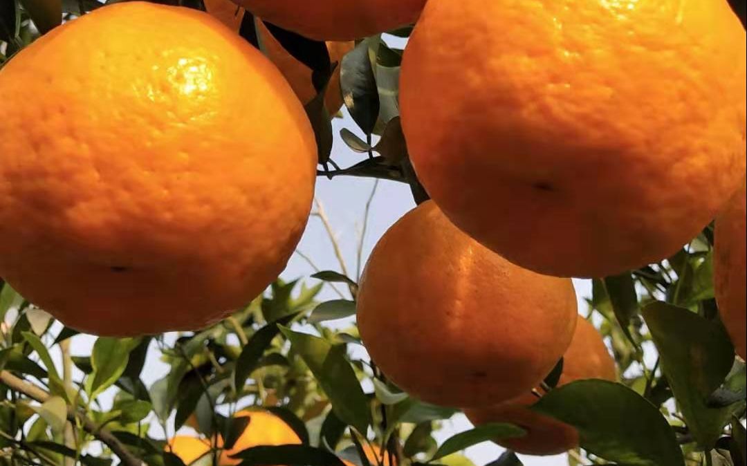 新京报 好新闻 无止境