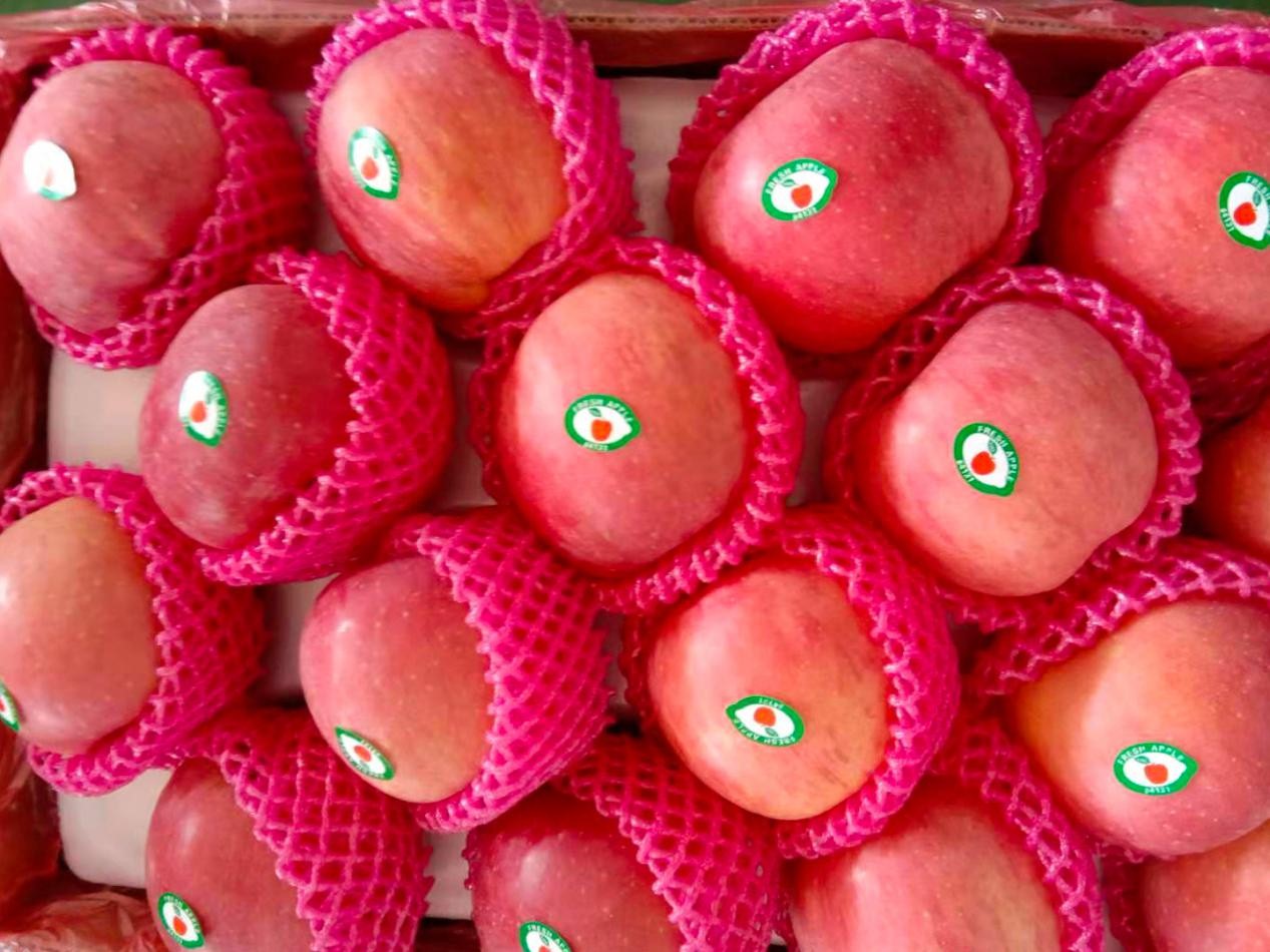 辽宁盖州苹果首次出口美国 当地果农企业双获益