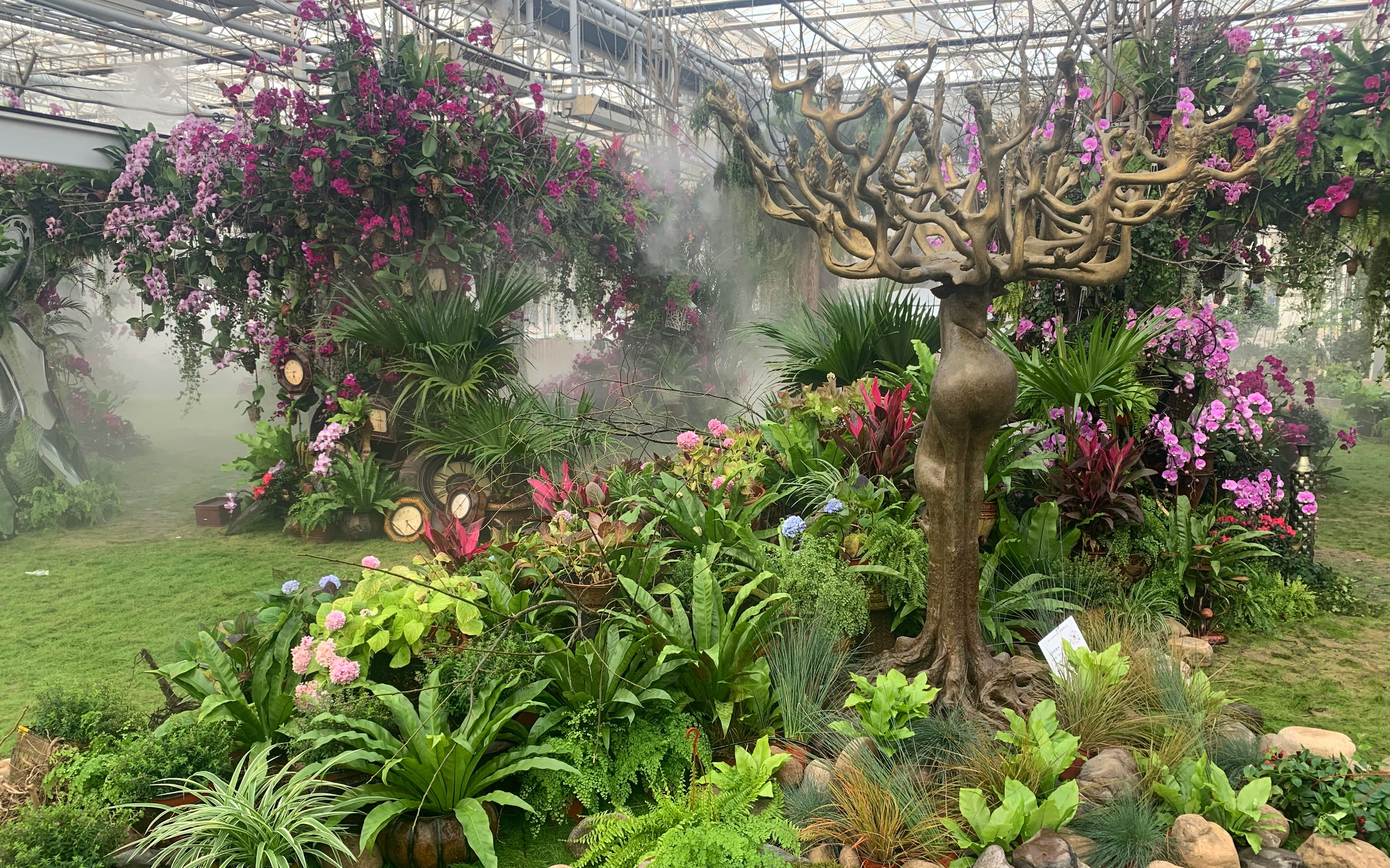 花木中心展厅.受访者供图