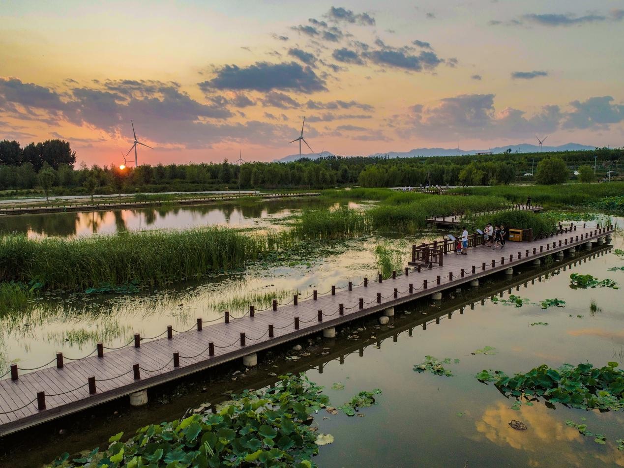 官厅水库国家湿地公园"转正" 距京仅29分钟高铁车程
