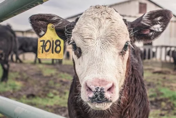 新京报 好新闻 无止境 新京报 好新闻 无止境