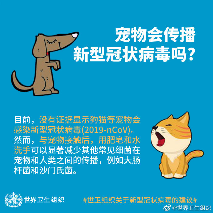 世卫组织：无证据显示狗猫等宠物会感染新型冠状病毒