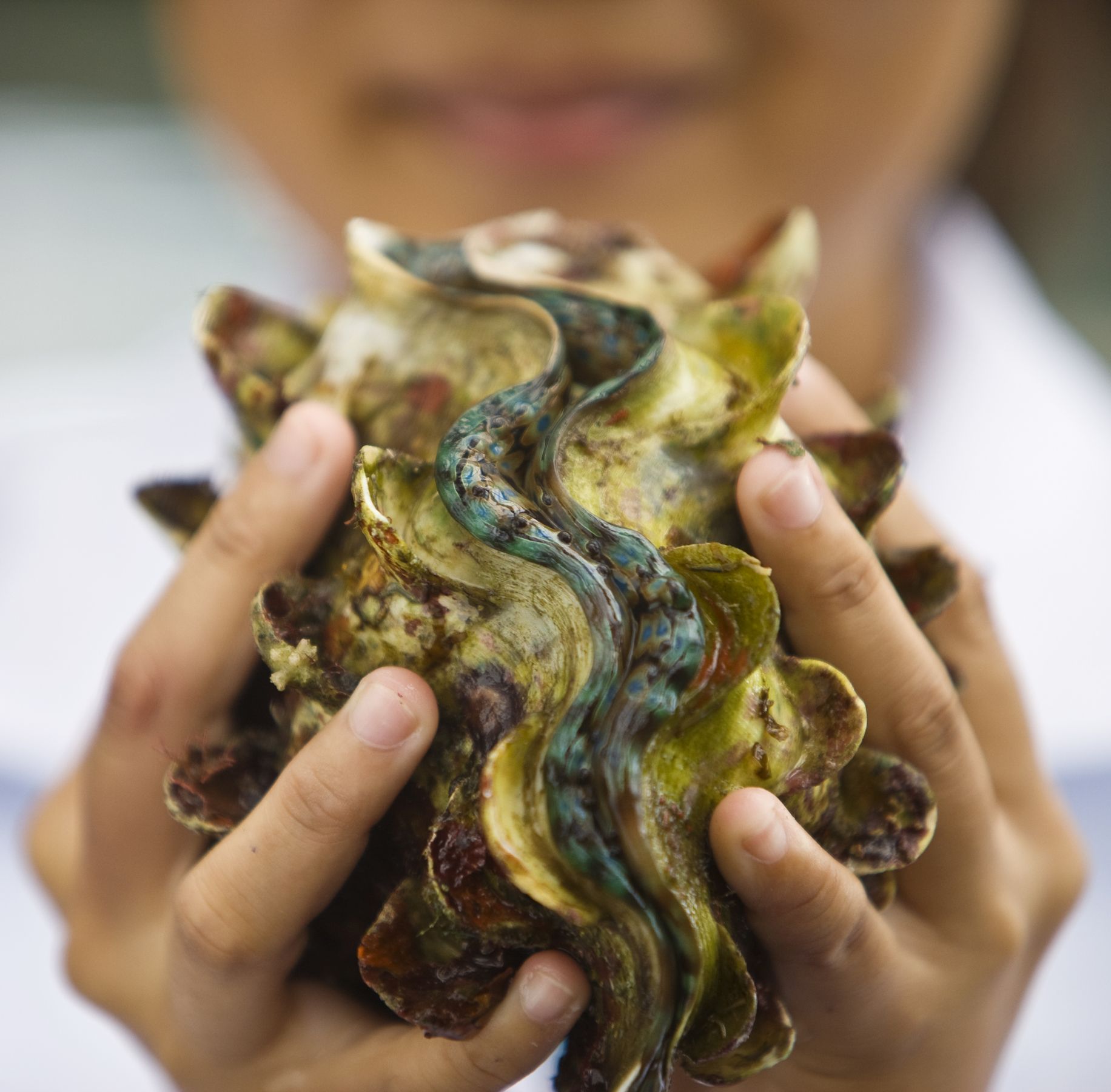 新京报 好新闻 无止境