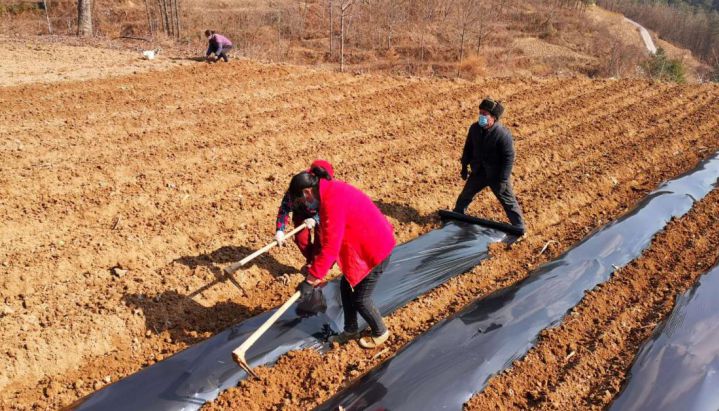 河口人口多少_速看!东营市第七次全国人口普查数据公布!(2)