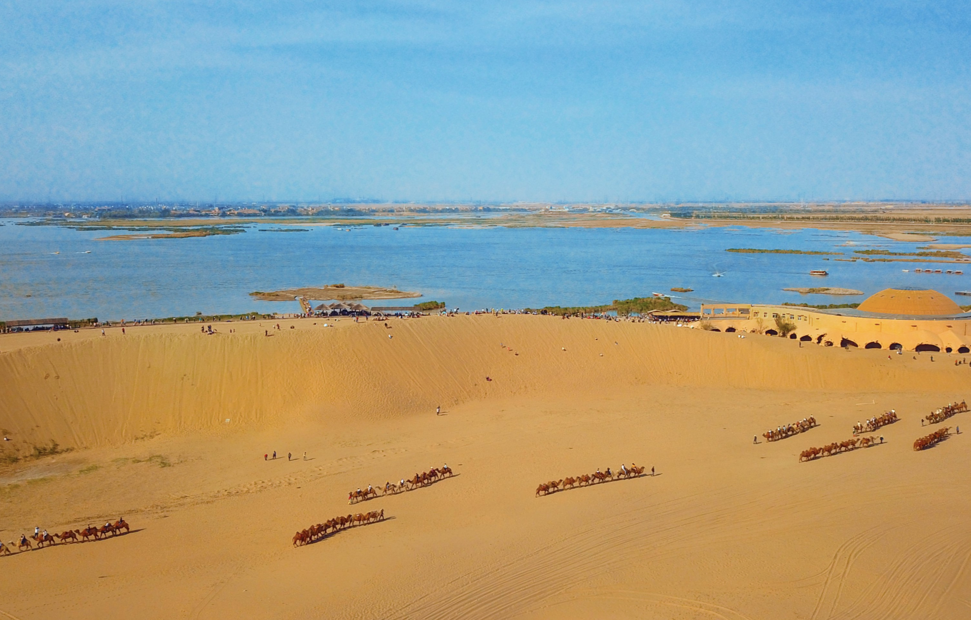 踏青观鸟,宁夏沙湖好景正当时