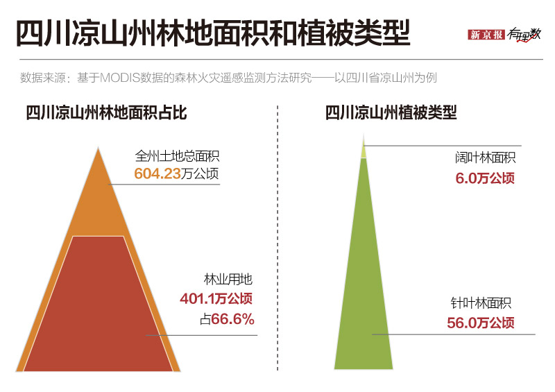 为什么又是四川凉山？