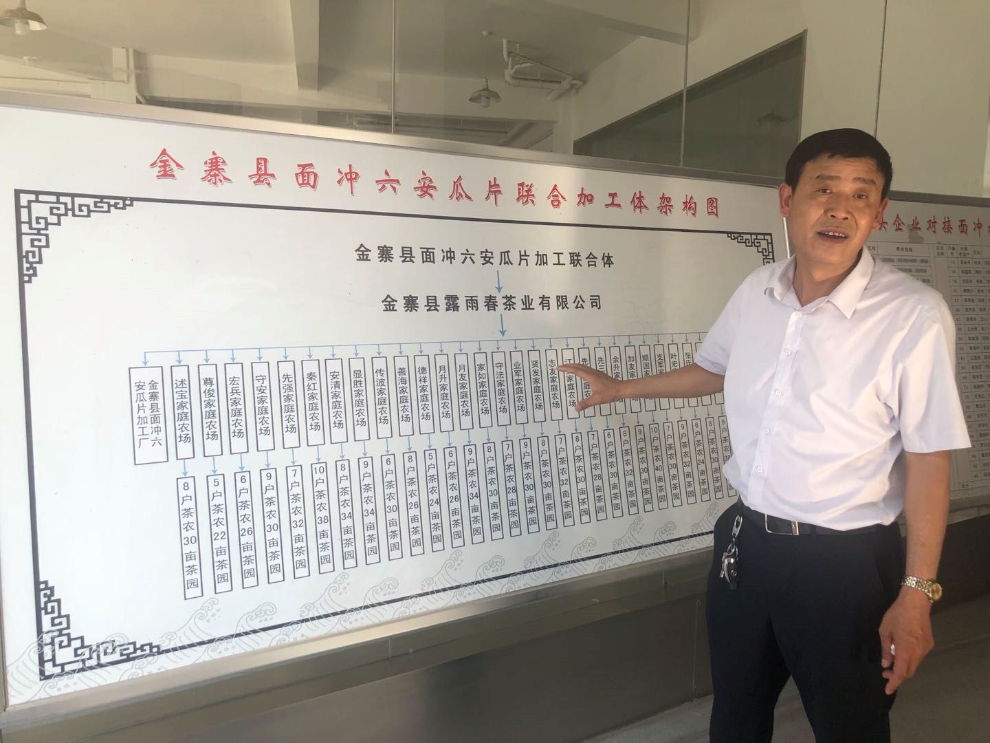 六安瓜片随谷雨节气进入采茶期 预计产量下降三