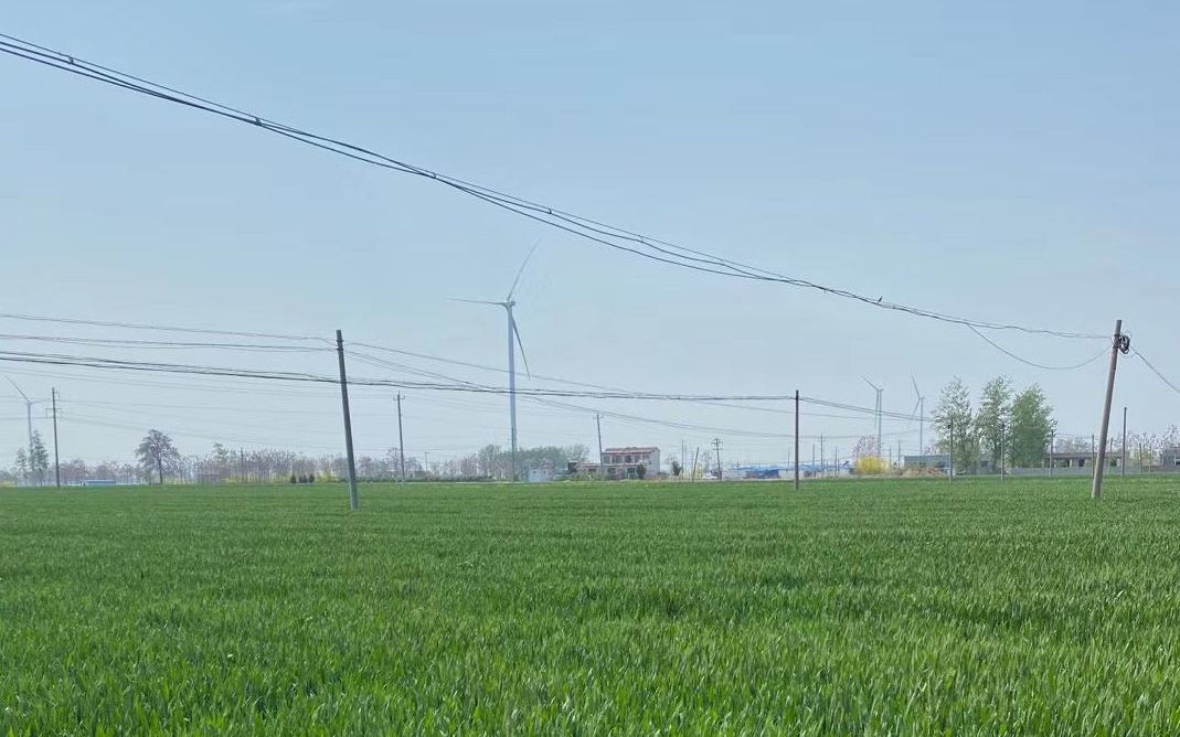 谷雨前小雨到 河南荥阳小麦预计亩产不少于120