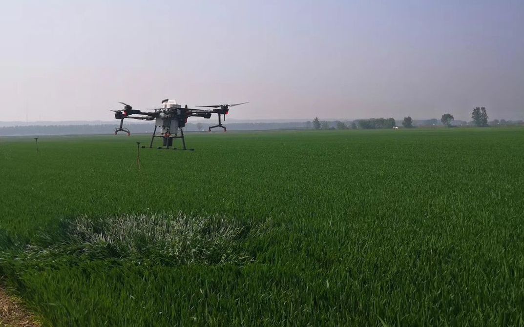 谷雨前小雨到 河南荥阳小麦预计亩产不少于120