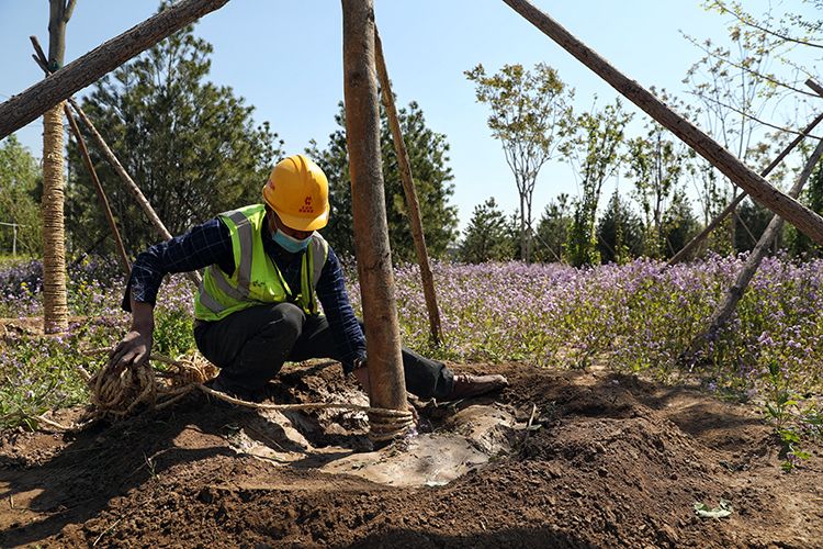 朝阳大羊坊沟9万平方米绿化景观工程将于"十一"前竣工