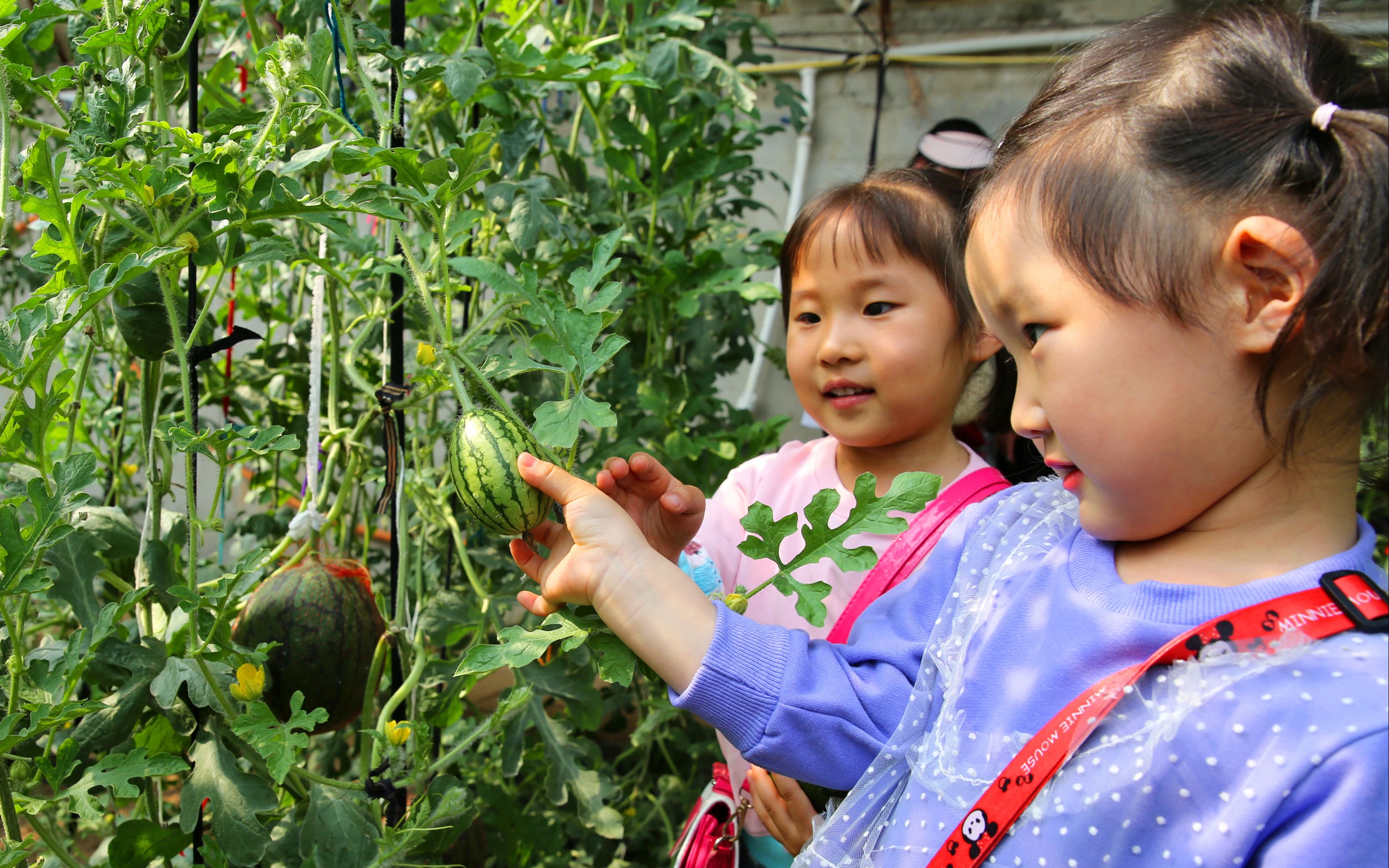 新京报 - 好新闻,无止境