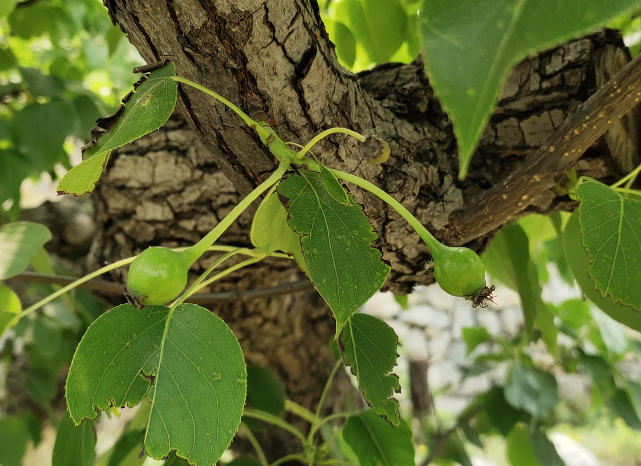 新京报 好新闻 无止境