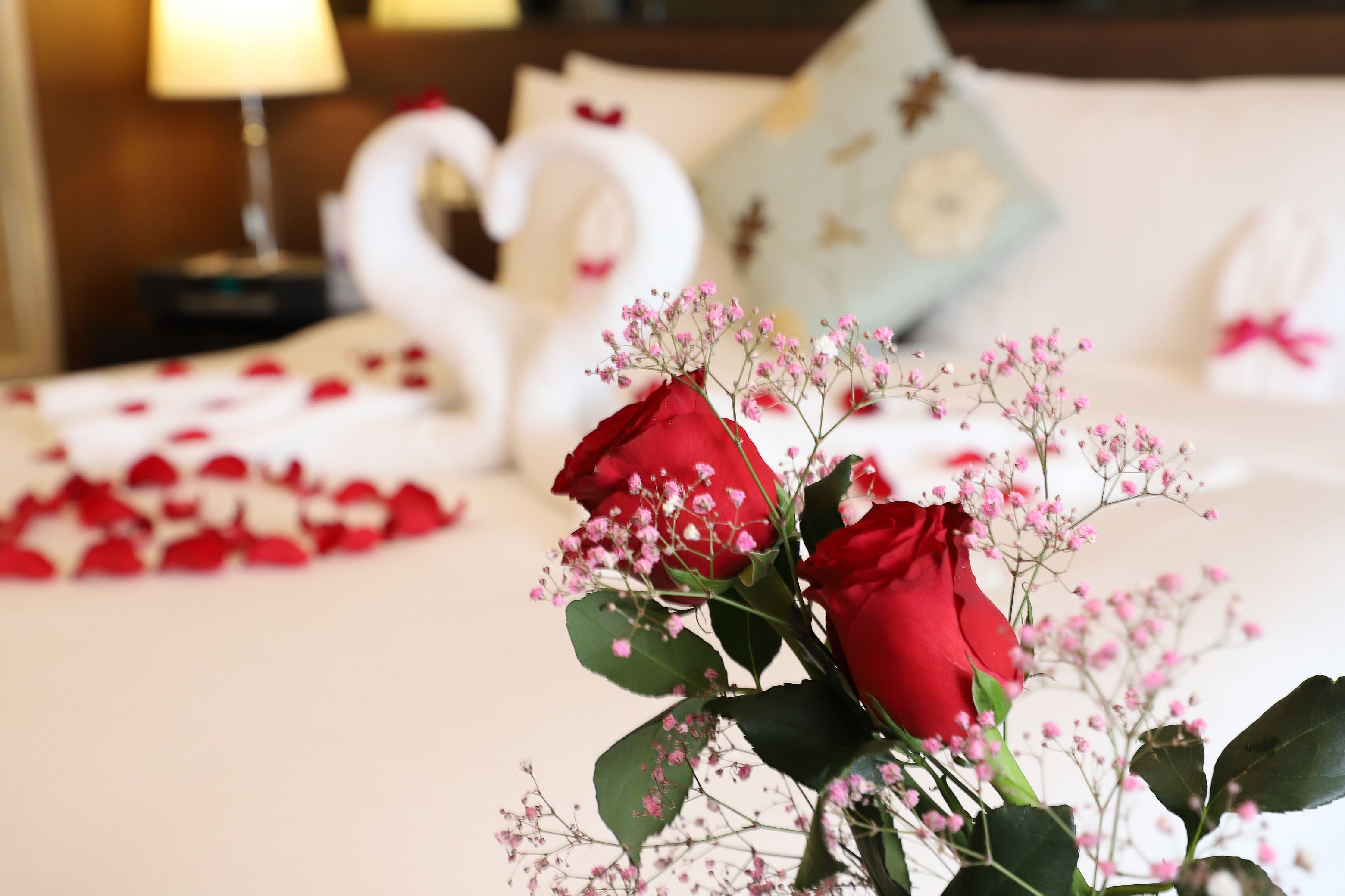 疫情平稳后的爱情"表白日",酒店怎么玩出新花样?