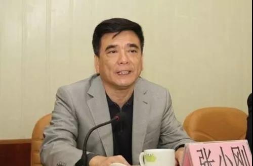 广东省国资委原党委副书记张小刚被开除党籍