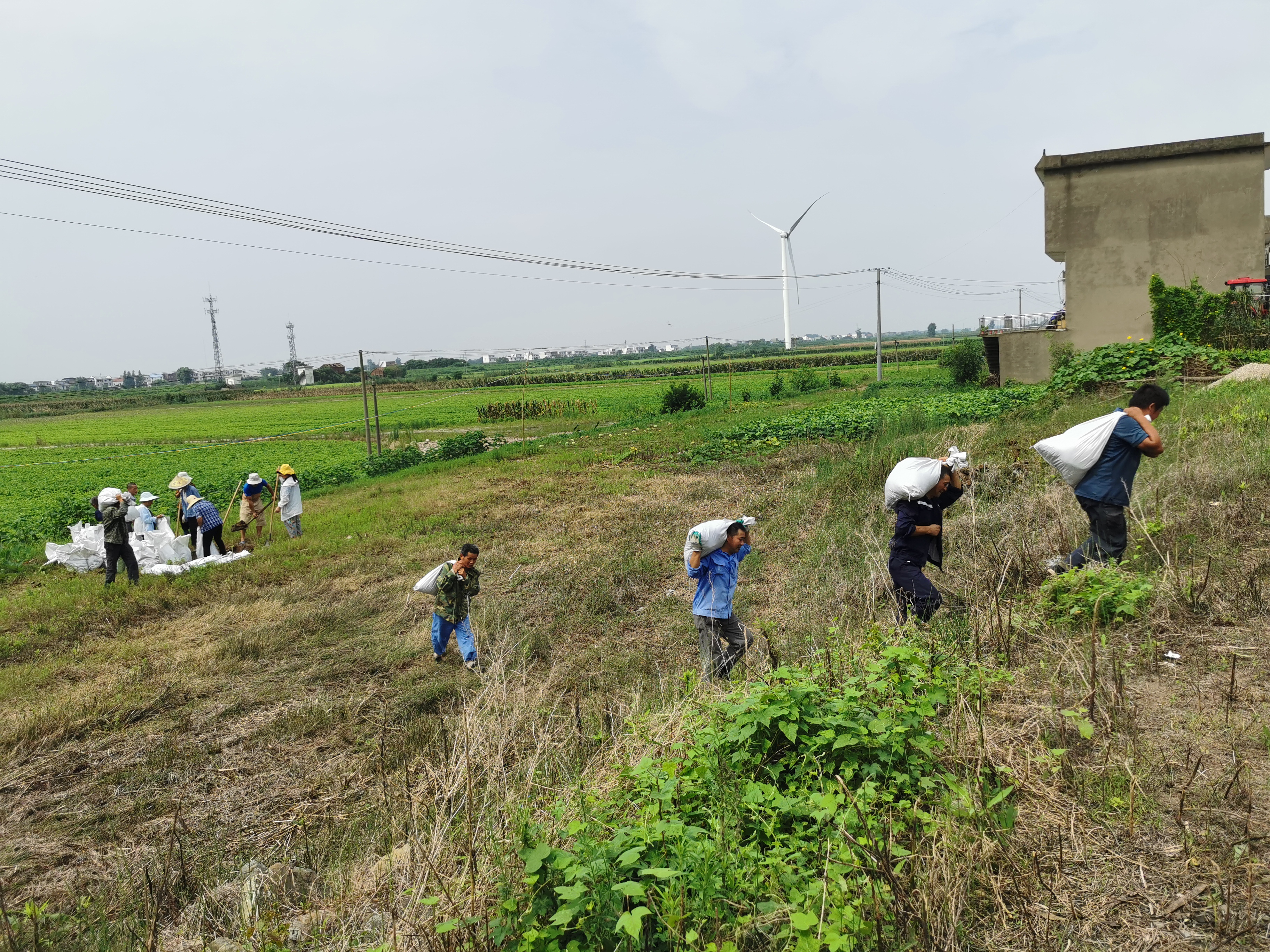 建在大堤上的村庄：抗洪第一道防线，每年都与洪水打交道