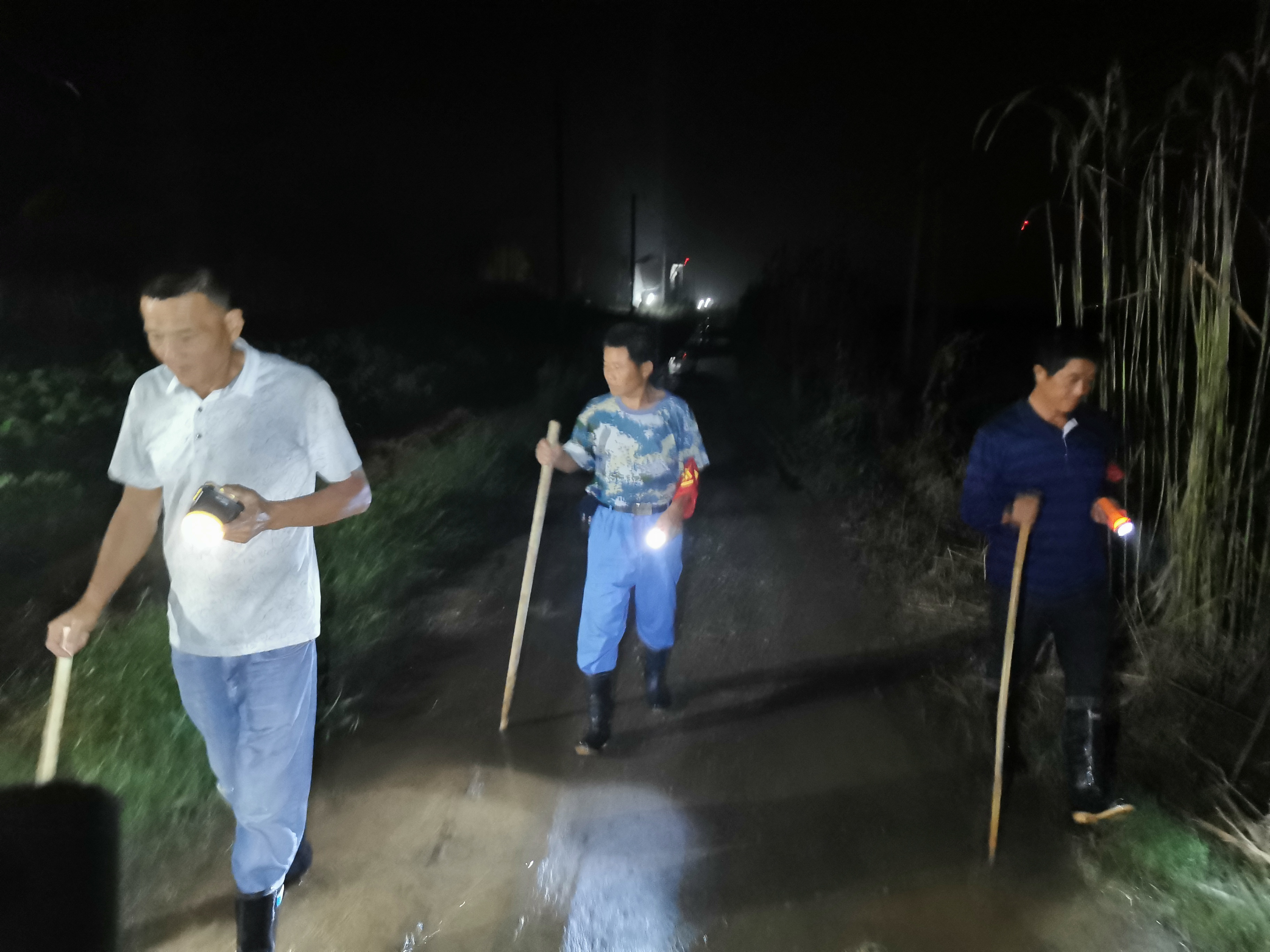 建在大堤上的村庄：抗洪第一道防线，每年都与洪水打交道