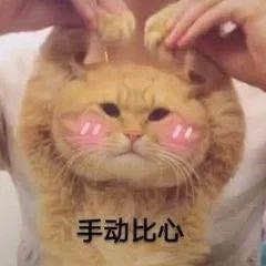 番外来了！被交警喊醒的外卖小哥去抗洪了