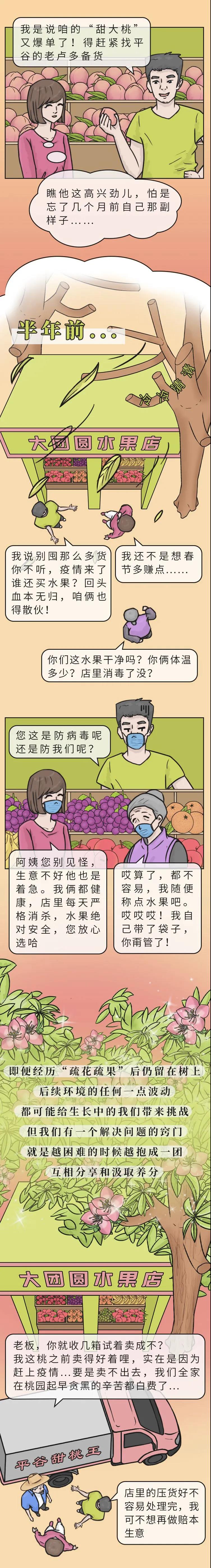 真的不该偷看这颗大桃的故事……